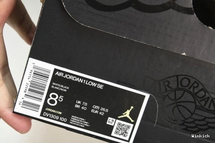 SE 1 DV1309-100 Low Concord Jordan 0817